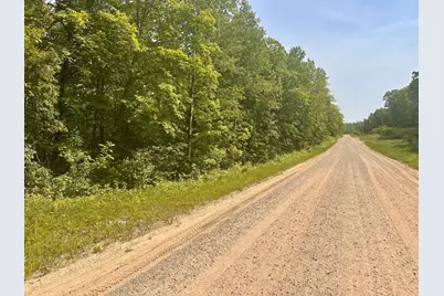 Tbd County Road 157 NE, Remer, MN 56672 - Photo 8