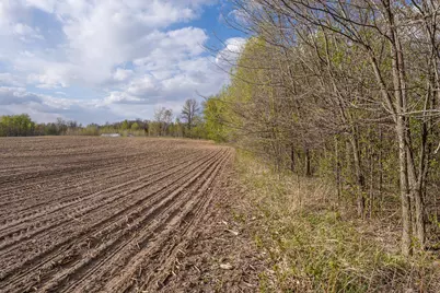 Parcel A - 20Ac 465th Street, Sunrise Township, MN 55032 - Photo 8