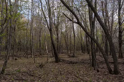 Tbd-38Ac 465th Street, Sunrise Township, MN 55032 - Photo 48