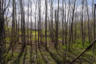 Tbd-38Ac 465th Street, Sunrise Township, MN 55032 - Photo 42