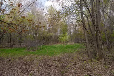 Tbd-38Ac 465th Street, Sunrise Township, MN 55032 - Photo 22