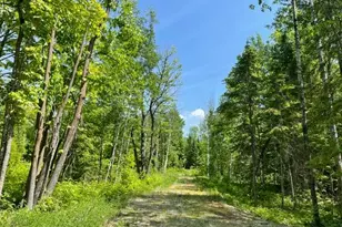 11847 12th Ave NE, Federal Dam, MN 56641 - Photo 6