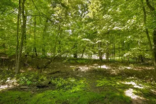 38151 Wilderness Ct, Sartell, MN 56377 - Photo 48