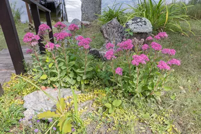 1499 Cardinal Lane NE, Longville, MN 56655 - Photo 44