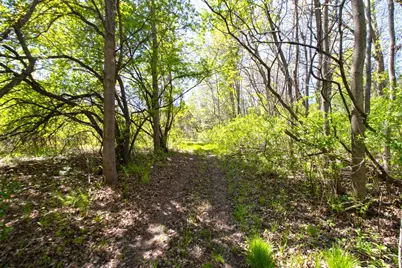 Tbd Northland Trail, Lindstrom, MN 55045 - Photo 6