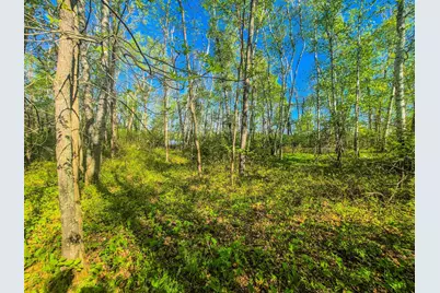 Tbd Heather Trail, Nevis, MN 56467 - Photo 6