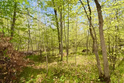 Lot 10 Fremsted Road, Danbury, WI 54830 - Photo 2