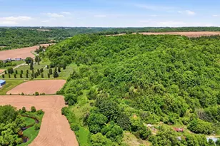 31 Acres Cty Rd S, Plum City, WI 54761 - Photo 1