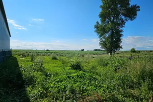 25318 Co Hwy 13, Audubon, MN 56511 - Photo 60