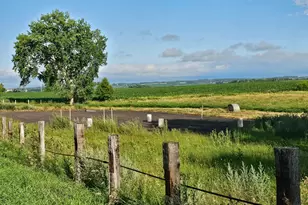 25318 Co Hwy 13, Audubon, MN 56511 - Photo 1