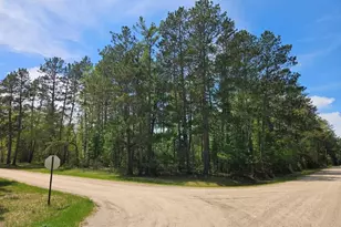 32951 Dahlberg Lake Rd, Shevlin, MN 56676 - Photo 8