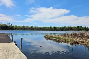 32951 Dahlberg Lake Rd, Shevlin, MN 56676 - Photo 16