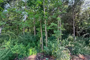 8822 147th Ave NW, Ramsey, MN 55303 - Photo 48