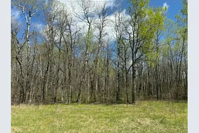 Tbd Lamon Road NE, Bemidji, MN 56601 - Photo 8