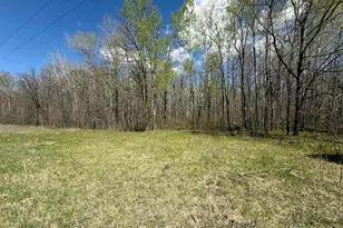 Tbd Lamon Road NE, Bemidji, MN 56601 - Photo 1