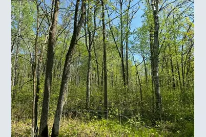Tbd Lamon Road NE, Bemidji, MN 56601 - Photo 4