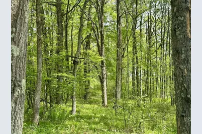 Xyz Dailey Lake Road, Willow River, MN 55795 - Photo 2