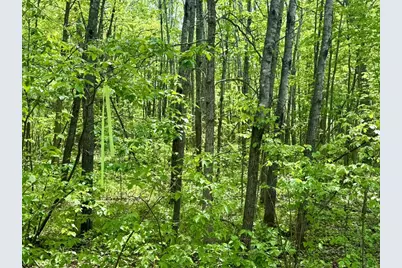 Xyz Dailey Lake Road, Willow River, MN 55795 - Photo 10