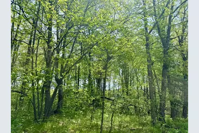 Xyz Dailey Lake Road, Willow River, MN 55795 - Photo 6