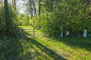 3781 Co Rd 10, Littlefork, MN 56653 - Photo 18