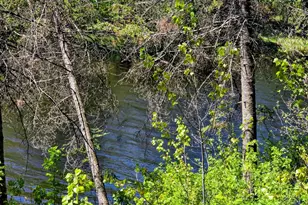 3781 Co Rd 10, Littlefork, MN 56653 - Photo 14