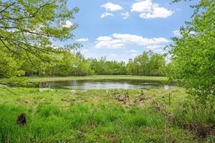 28329 99th Street NW, Zimmerman, MN 55398 - Photo 10