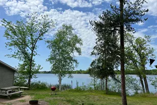 38013 Danberry Trail, Pillager, MN 56473 - Photo 18