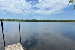 38013 Danberry Trail, Pillager, MN 56473 - Photo 20