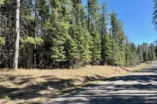 Tbd New Melahn Dr (Lot 10(, Lake George Township, MN 56458 - Photo 1