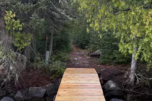 8016 Gunflint Trail, Grand Marais, MN 55604 - Photo 10