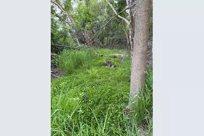 17727 Highway 7, New Germany, MN 55367 - Photo 56