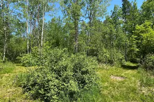 N7642 Crooked Rd, Ladysmith, WI 54848 - Photo 32