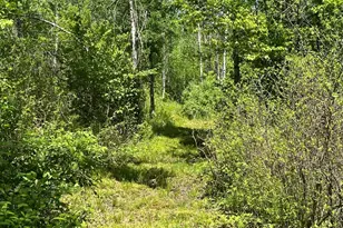 N7642 Crooked Rd, Ladysmith, WI 54848 - Photo 30