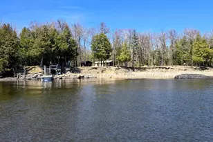 1266 Brush Island, Angle Inlet, MN 56711 - Photo 1