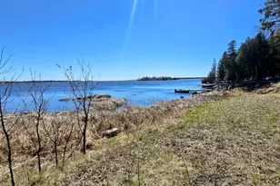 1266 Brush Island, Angle Inlet, MN 56711 - Photo 38