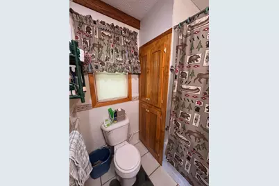 56161 Whitefish Trail, Squaw Lake, MN 56659 - Photo 28