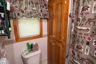 56161 Whitefish Trl, Squaw Lake, MN 56659 - Photo 28