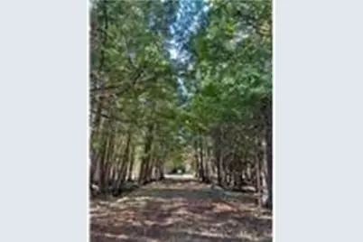 56161 Whitefish Trail, Squaw Lake, MN 56659 - Photo 28