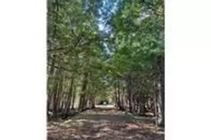 56161 Whitefish Trl, Squaw Lake, MN 56659 - Photo 28