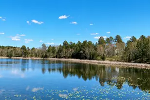 18280 County 11, Park Rapids, MN 56470 - Photo 4