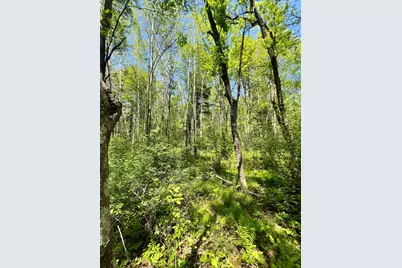 Tbd County Rd 67, Grand Rapids, MN 55744 - Photo 6