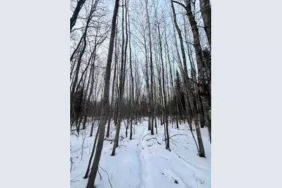 Tbd County Rd 67, Grand Rapids, MN 55744 - Photo 22
