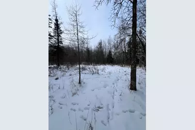 Tbd County Rd 67, Grand Rapids, MN 55744 - Photo 16