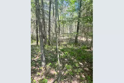 Tbd County Rd 67, Grand Rapids, MN 55744 - Photo 8