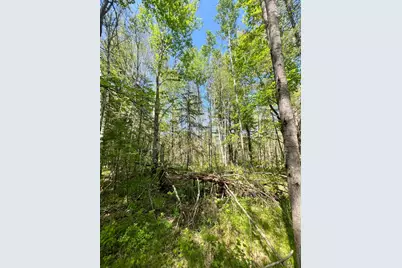 Tbd County Rd 67, Grand Rapids, MN 55744 - Photo 2