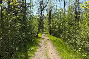 388 Quadna Mountain Rd, Hill City, MN 55748 - Photo 24