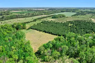 29059 County 66, Staples, MN 56479 - Photo 48