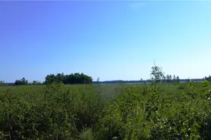 0 Brandt Rd, Hayward, WI 54843 - Photo 1
