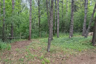 706 W Forest Ave, Mora, MN 55051 - Photo 30