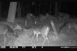 W4902 Co Hwy F, Springbrook, WI 54875 - Photo 52